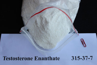 Chine Testostérone Enanthate de CAS 315-37-7 99%/poudres blanches de l'essai E pour la croissance de muscle fournisseur
