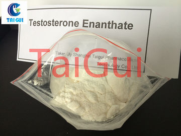 Chine Muscle le stéroïde 100mg/ml d'en d'essai de Testosteron Enanthate d'hormone stéroïde de testostérone de bâtiment fournisseur