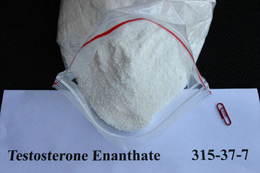 Chine Matière première CAS 315-37-7 de testostérone de stéroïdes pharmaceutiques anaboliques sûrs d'Enanthate fournisseur