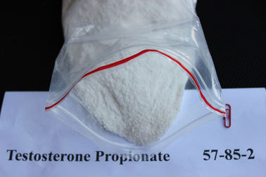 Chine Poudre juridique naturelle de stéroïdes de bâtiment de muscle du propionate 57-85-2 de testostérone pour les hommes fournisseur